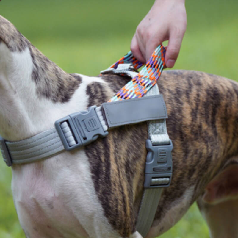 No - Pull Reflective Large Dog Harness – Heavy - Duty, Adjustable - mafooouk