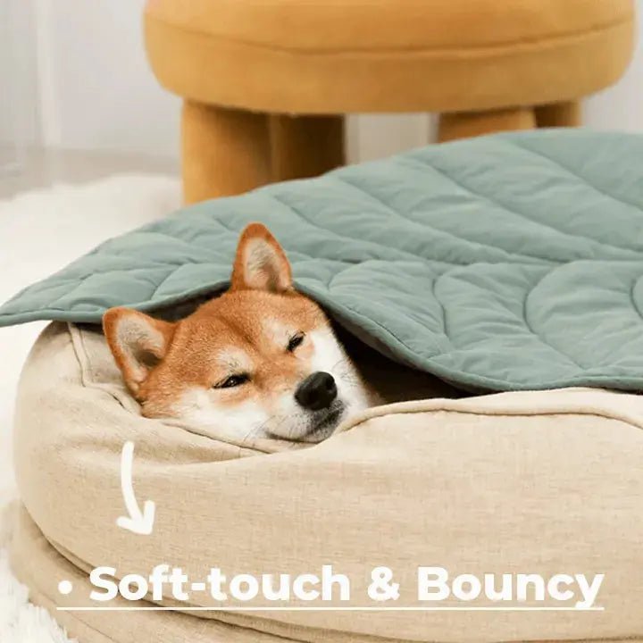 Orthopedic Calming Donut Dog Bed – Waterproof - mafooouk