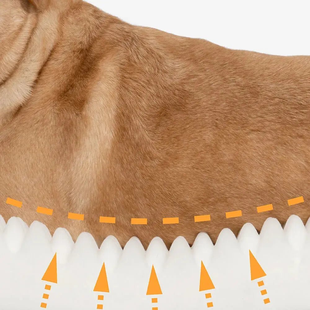 Orthopedic Calming Donut Dog Bed – Waterproof - mafooouk
