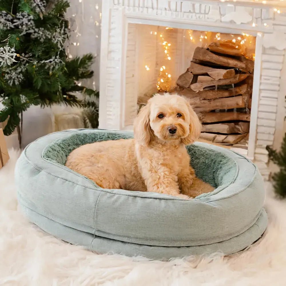 Orthopedic Calming Donut Dog Bed – Waterproof - mafooouk