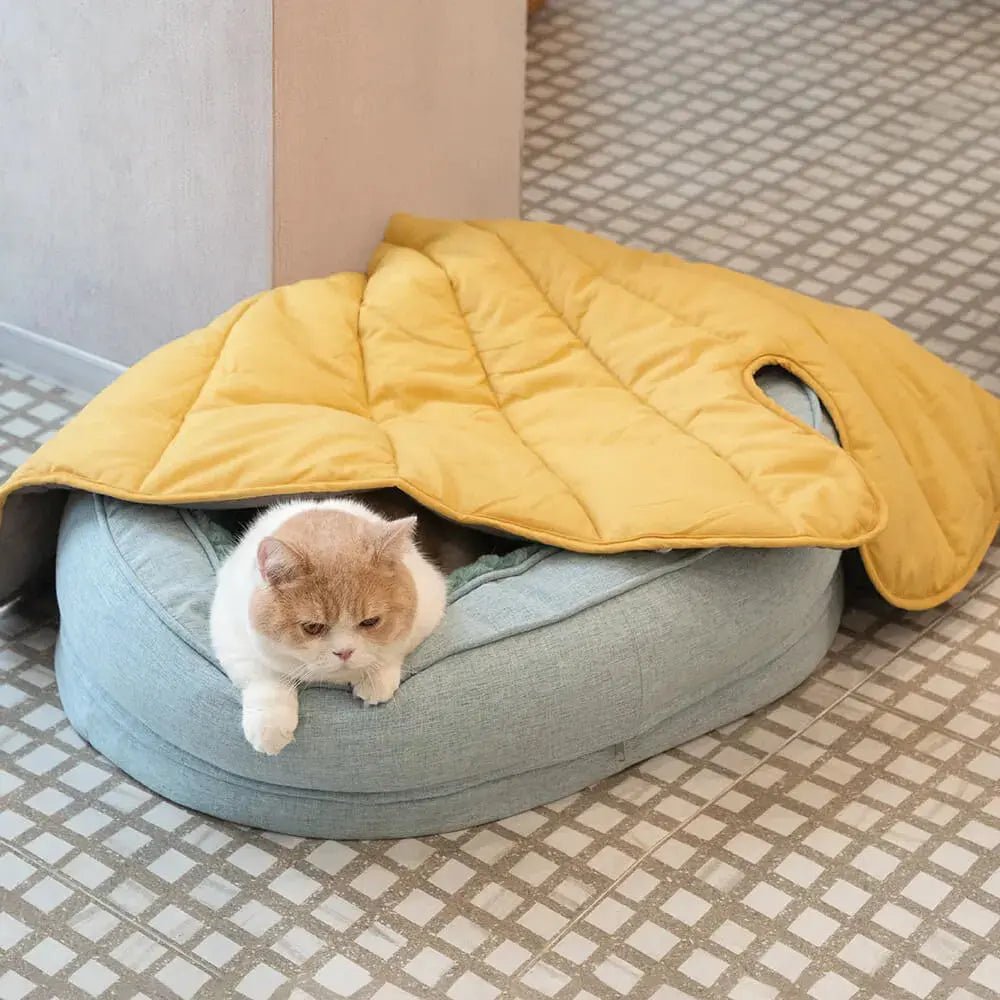 Orthopedic Calming Donut Dog Bed – Waterproof - mafooouk