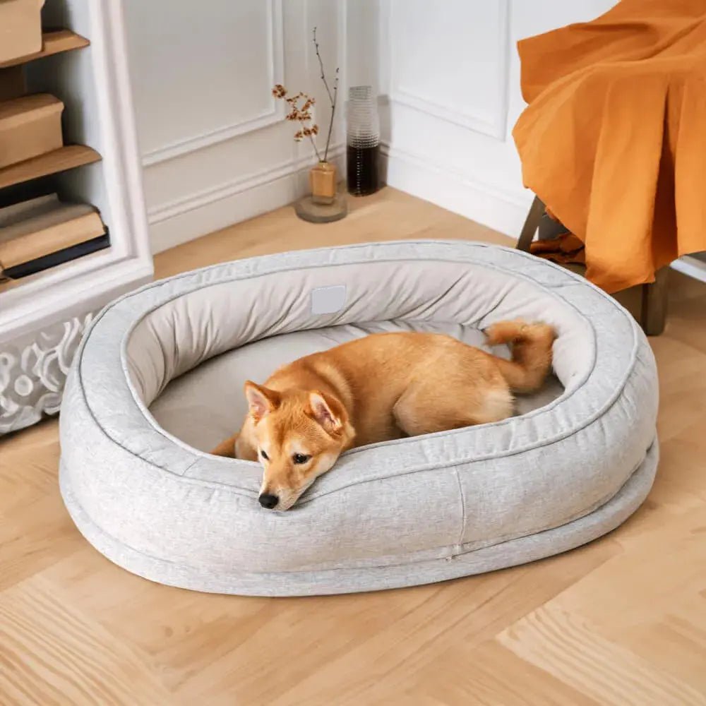 Orthopedic Calming Donut Dog Bed – Waterproof - mafooouk