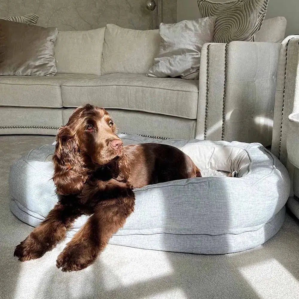 Orthopedic Calming Donut Dog Bed – Waterproof - mafooouk