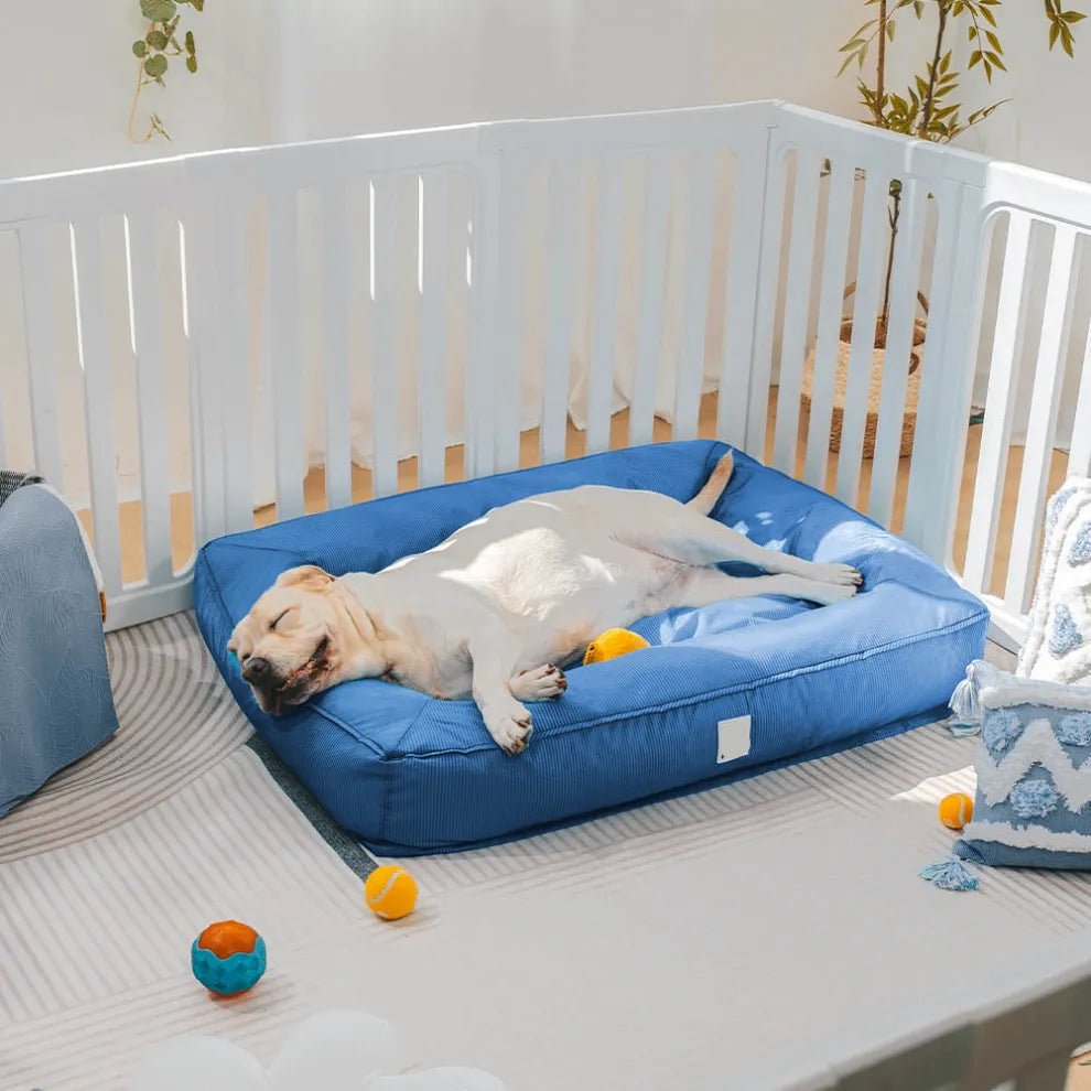 Orthopedic Waterproof Anti - Anxiety Large Dog Bed - mafooouk