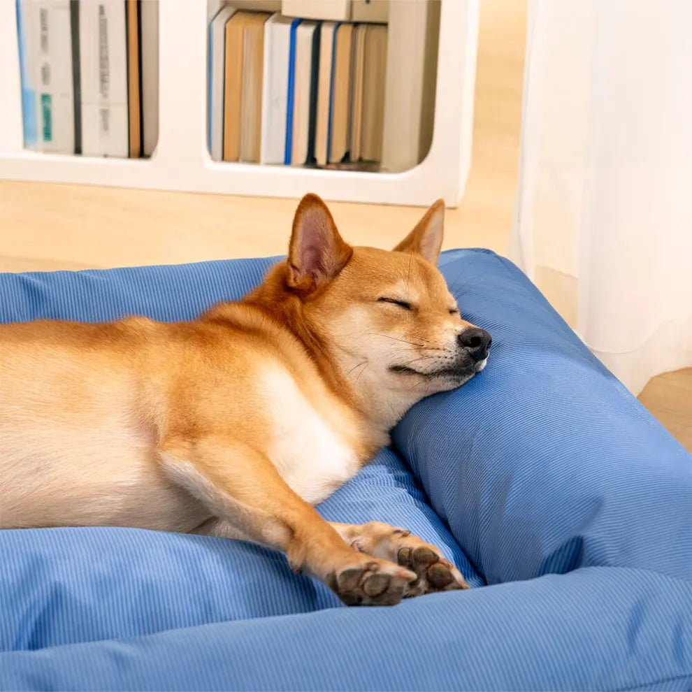 Orthopedic Waterproof Anti - Anxiety Large Dog Bed - mafooouk