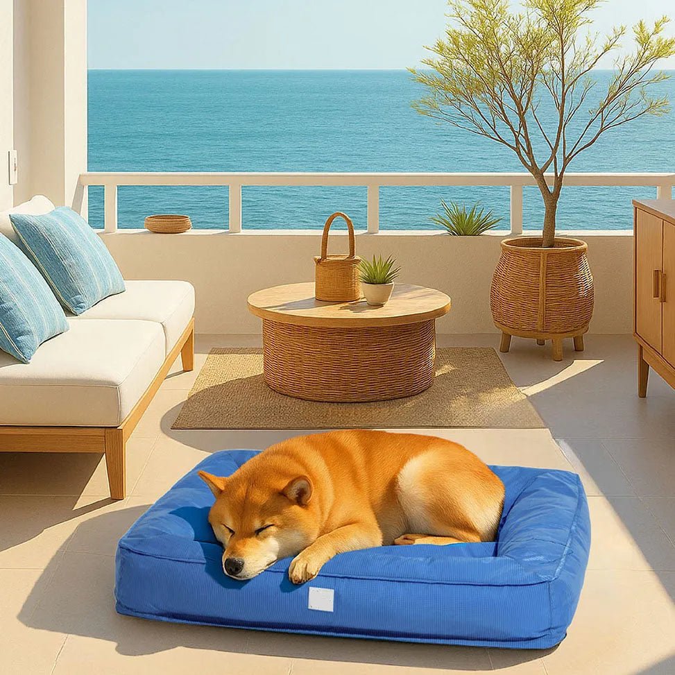 Orthopedic Waterproof Anti - Anxiety Large Dog Bed - mafooouk
