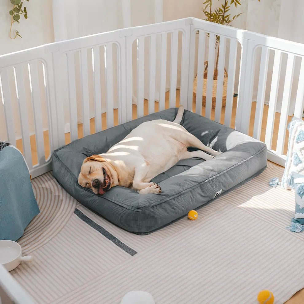 Orthopedic Waterproof Anti - Anxiety Large Dog Bed - mafooouk