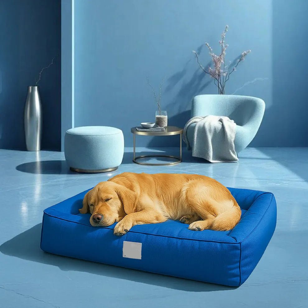 Orthopedic Waterproof Anti - Anxiety Large Dog Bed - mafooouk