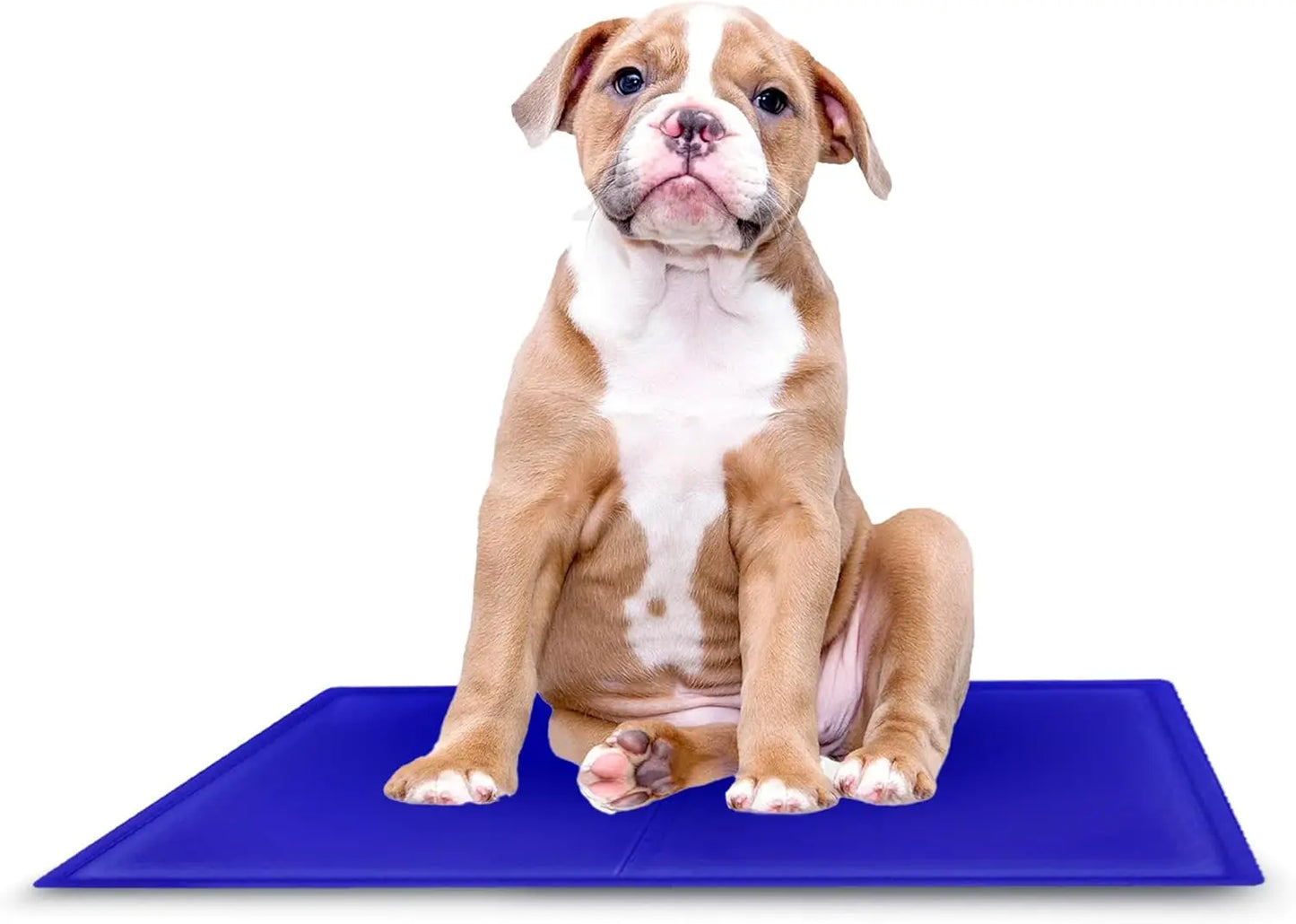 Self - Cooling Gel Pet Mat 64 × 44 cm – Waterproof PVC, Foldable (M) - mafooouk