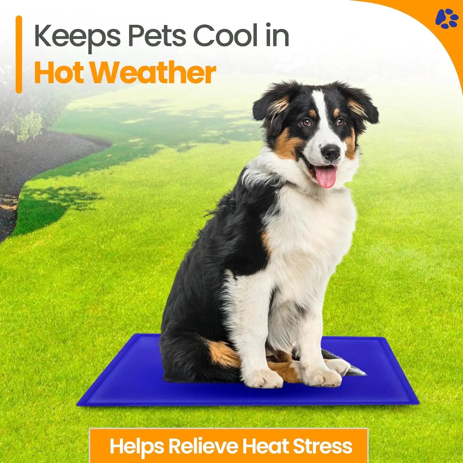 Self - Cooling Gel Pet Mat 64 × 44 cm – Waterproof PVC, Foldable (M) - mafooouk