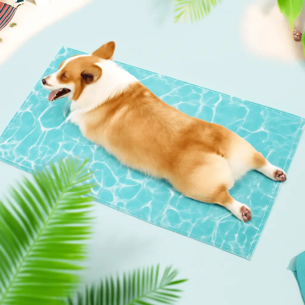 Self - Cooling Gel Pet Mat 65 × 50 cm – Non - Toxic, Scratch - Resistant (M) - mafooouk
