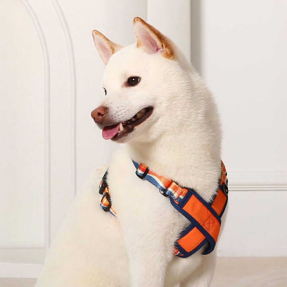 X - Shaped No - Choke Dog Harness – Adjustable, Durable (S–L) - mafooouk