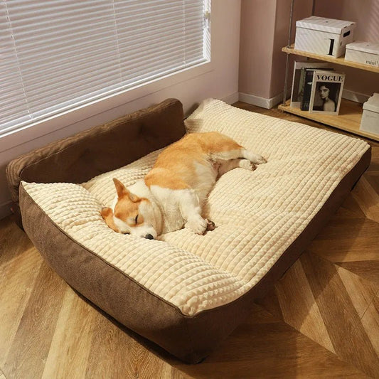 Best Dog Beds 2025 – Orthopedic, Cooling, and Luxury Options for Every Breed - mafooouk