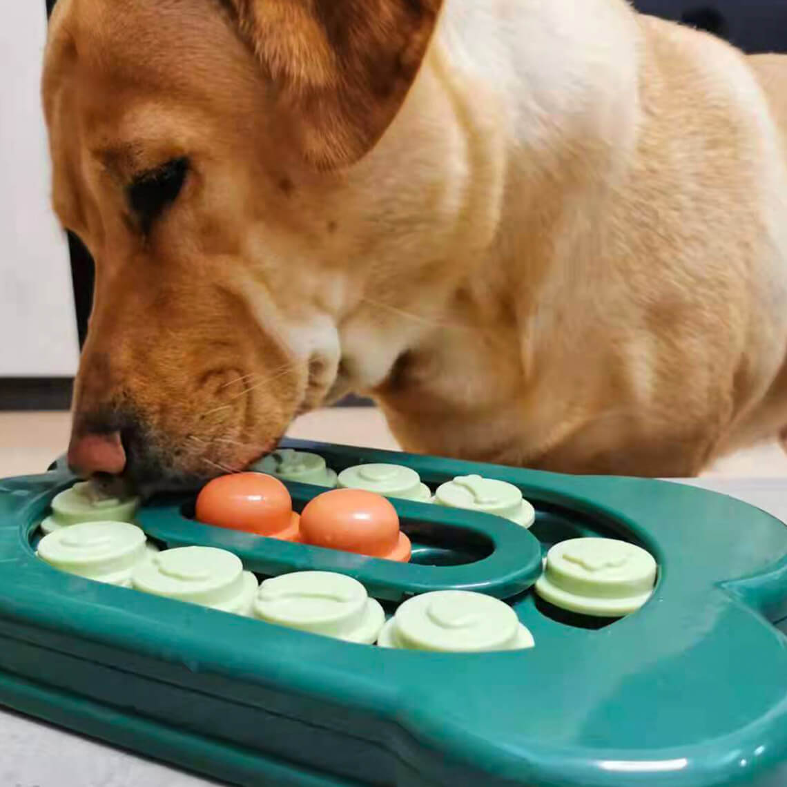 Sliding Foraging Tray – Dog Puzzle Feeder, Slow Eating