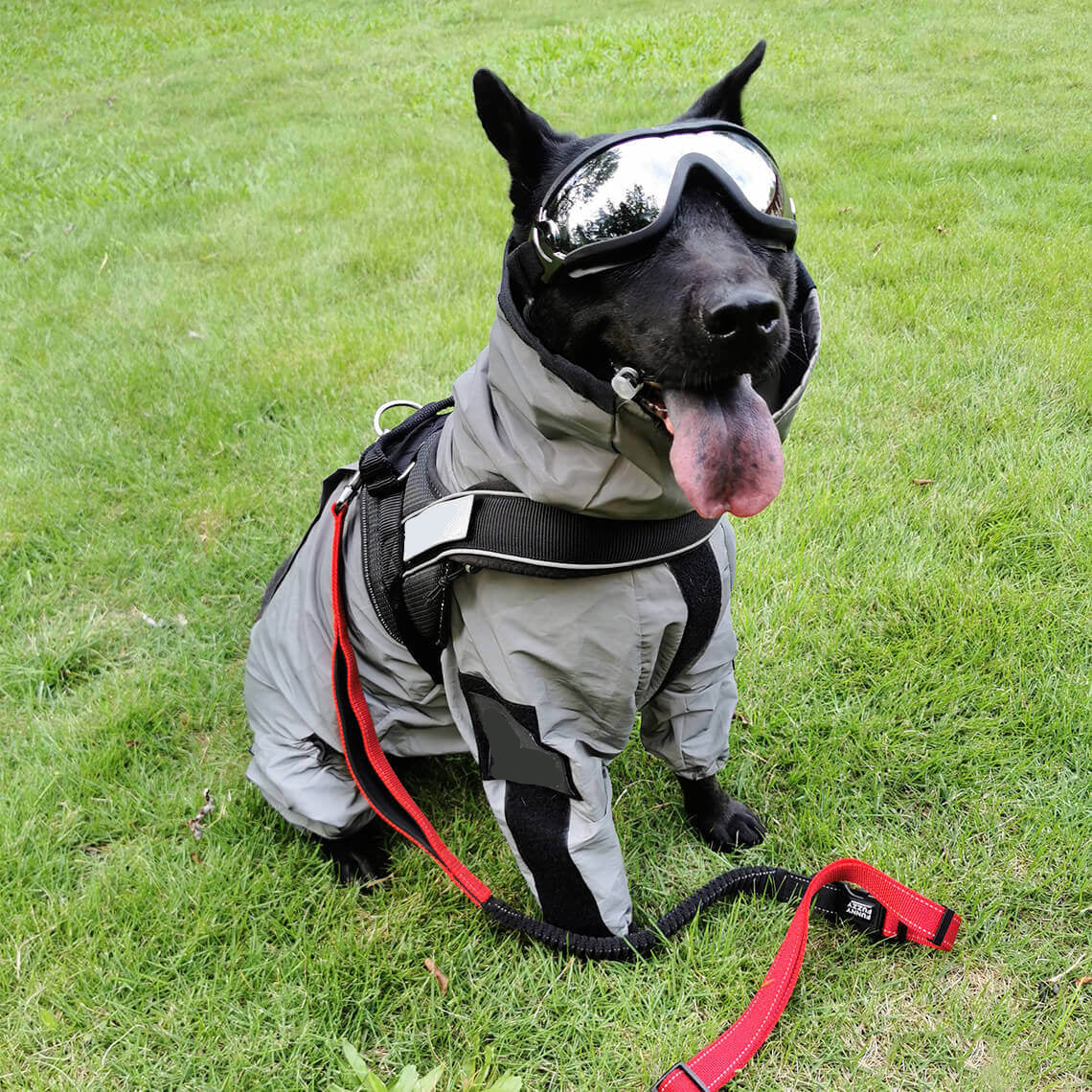 Reflective All-weather Waterproof Cool Dog Accessories Rain Coat