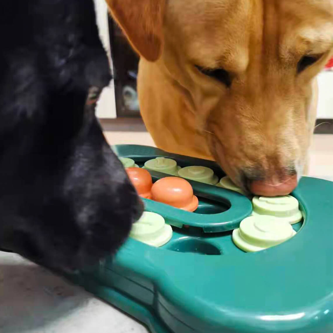 Sliding Foraging Tray – Dog Puzzle Feeder, Slow Eating