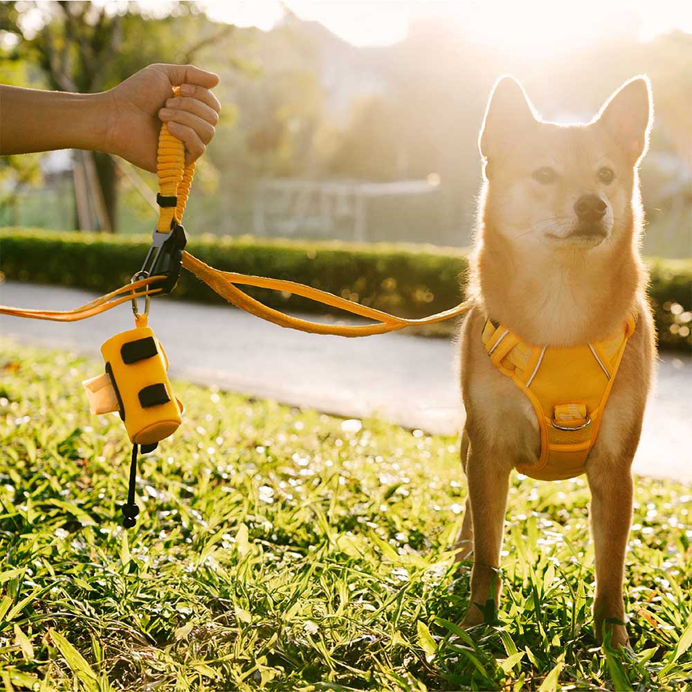 Waterproof Leash Attachable Poop Bag Dispenser - Flexi Walker
