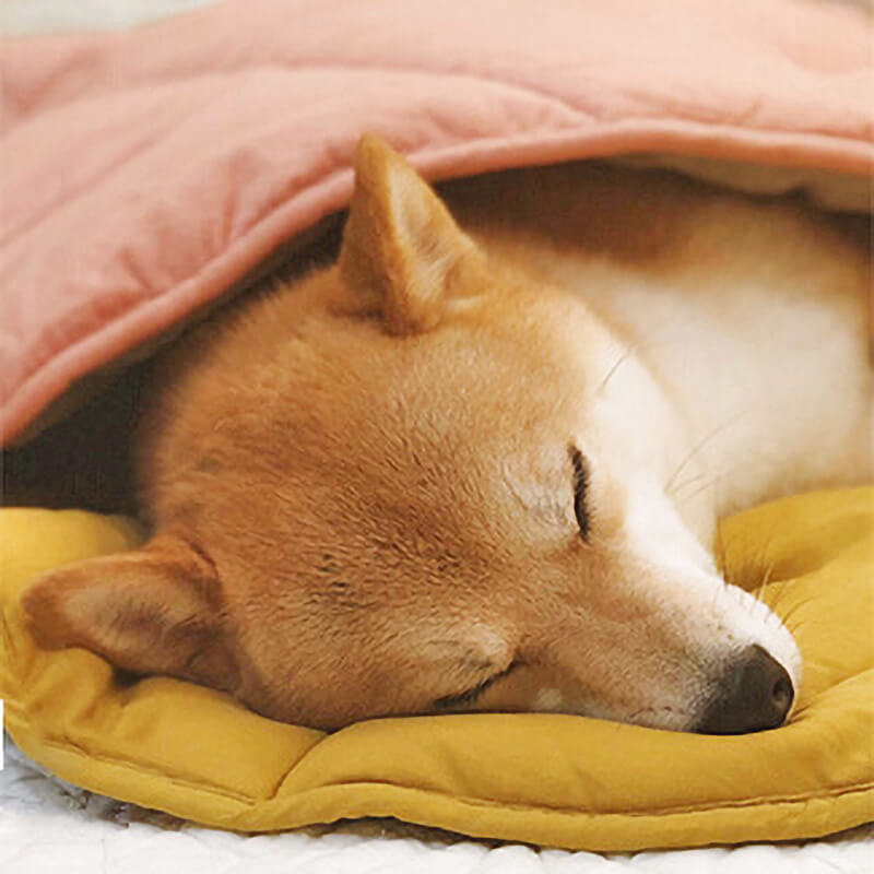 Dog Blanket for Couch – Leaf Shape Washable Sofa Protector & Pet Mat by FunnyFuzzy