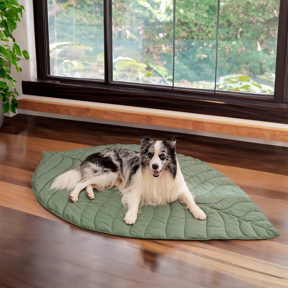 Dog Blanket for Couch – Leaf Shape Washable Sofa Protector & Pet Mat by FunnyFuzzy