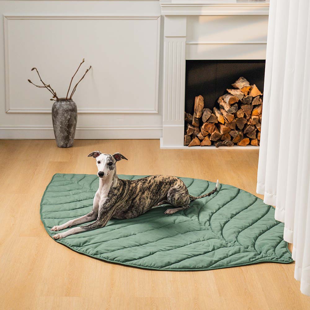 Dog Blanket for Couch – Leaf Shape Washable Sofa Protector & Pet Mat by FunnyFuzzy