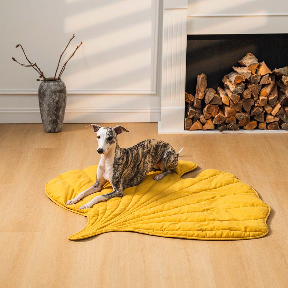 Dog Blanket for Couch – Leaf Shape Washable Sofa Protector & Pet Mat by FunnyFuzzy