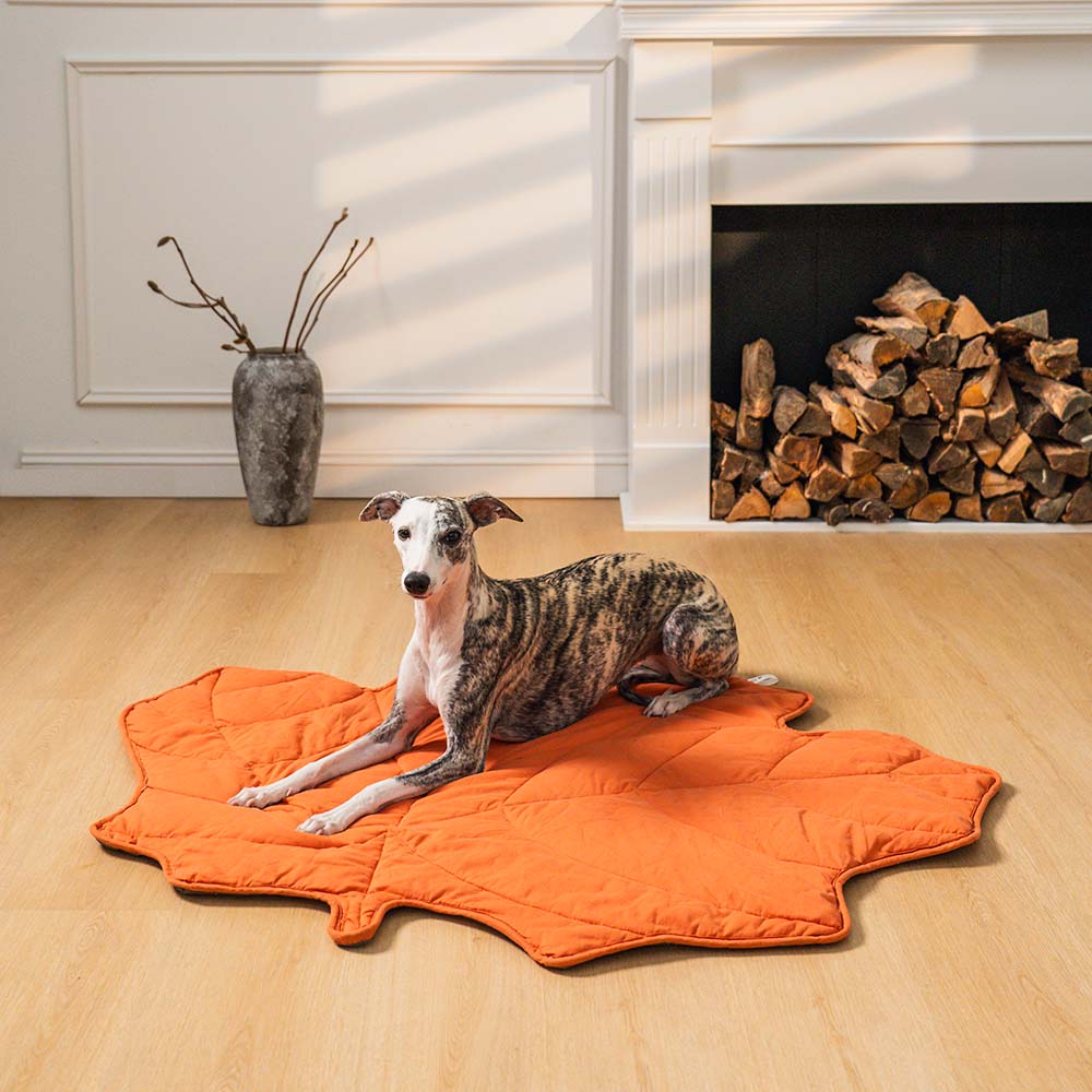 Dog Blanket for Couch – Leaf Shape Washable Sofa Protector & Pet Mat by FunnyFuzzy