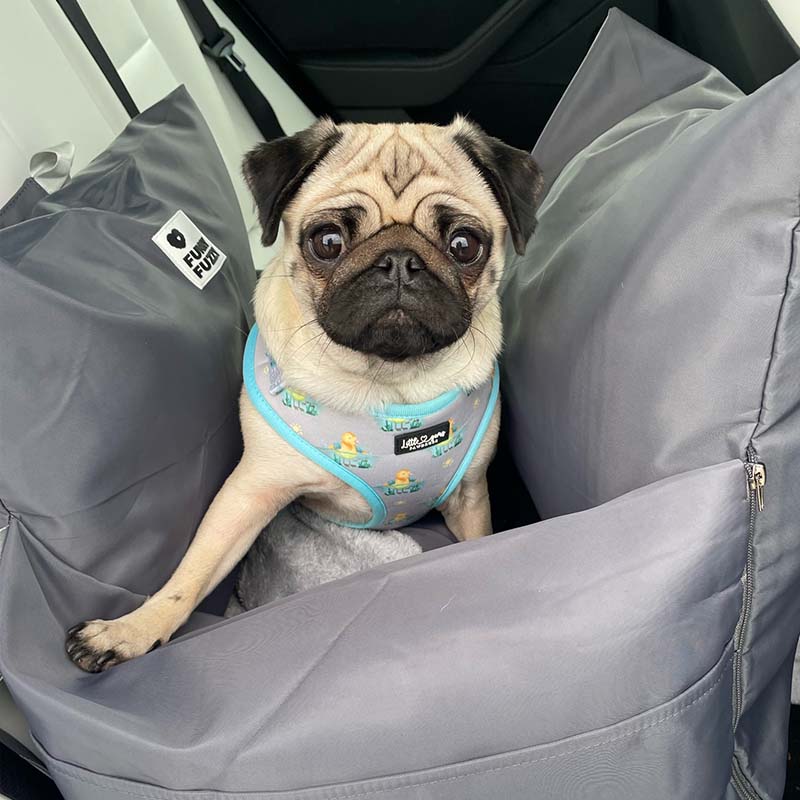 Waterproof Travel Dog Car Seat Bed - Gym Bag