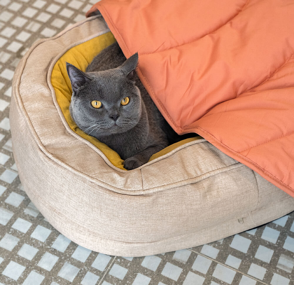 Dog Blanket for Couch – Leaf Shape Washable Sofa Protector & Pet Mat by FunnyFuzzy