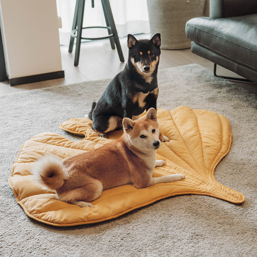 Dog Blanket for Couch – Leaf Shape Washable Sofa Protector & Pet Mat by FunnyFuzzy