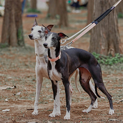 Martingale Training Collar – Anti-Pull, adjustable