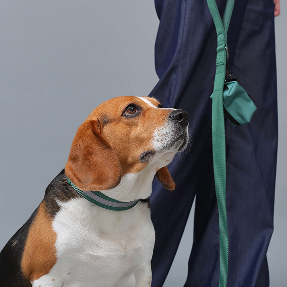 No-Pull Reflective Dog Harness • Adjustable Nylon | Harness, Collar & Leash (Sold Separately)