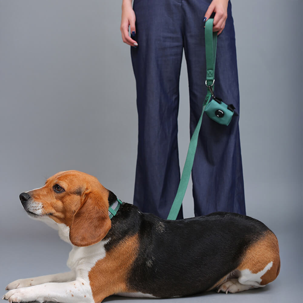 No-Pull Reflective Dog Harness • Adjustable Nylon | Harness, Collar & Leash (Sold Separately)