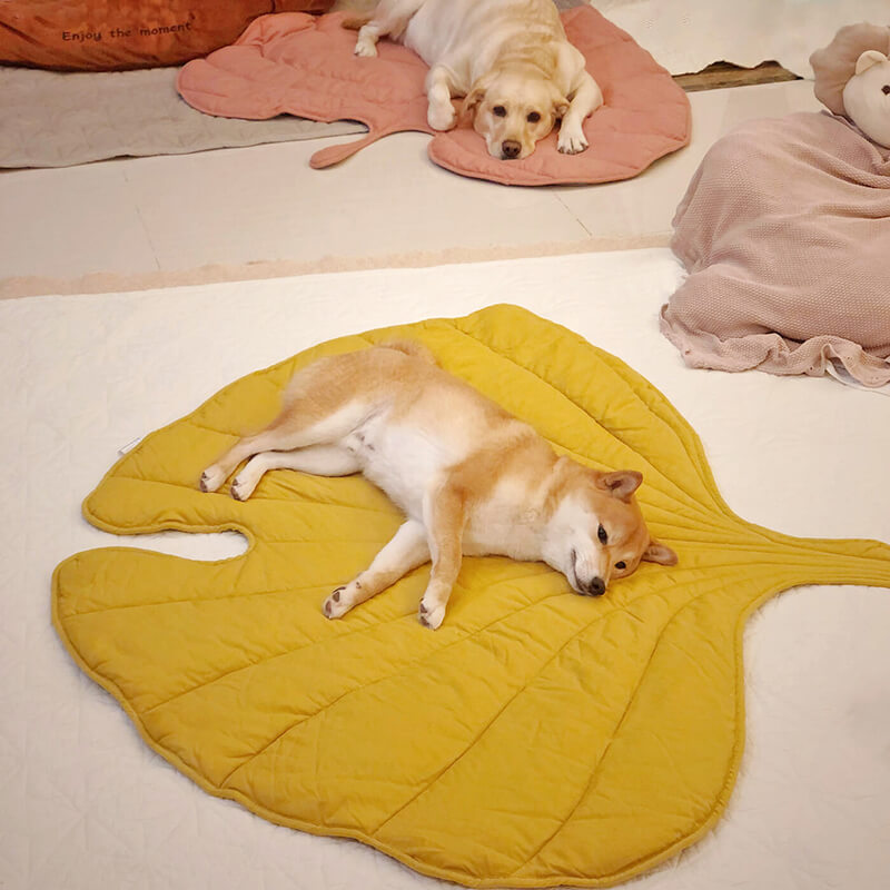 Dog Blanket for Couch – Leaf Shape Washable Sofa Protector & Pet Mat by FunnyFuzzy