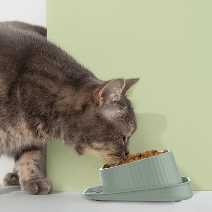 15° Tilted Dog Bowl – Spill-Proof, Non-Slip, Stainless Insert