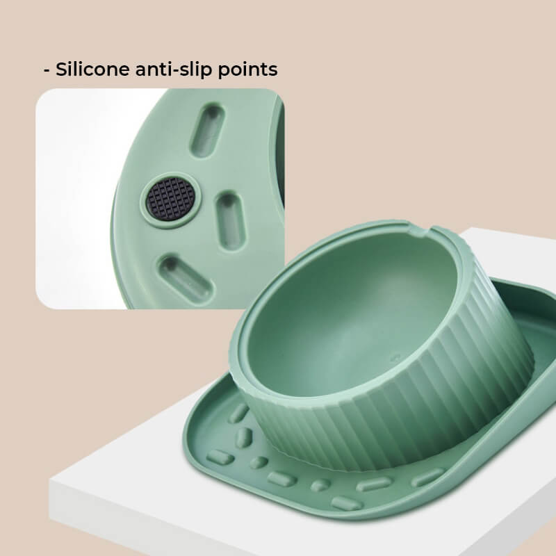 15° Tilted Dog Bowl – Spill-Proof, Non-Slip, Stainless Insert