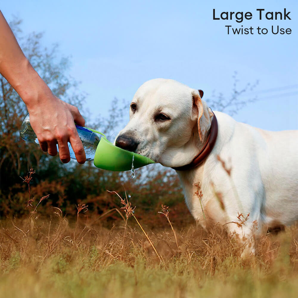 Leaf-Shaped Dog Water Bottle – Foldable, Leak-Proof