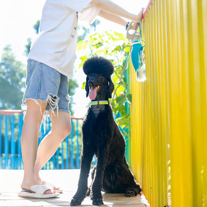 Leaf-Shaped Dog Water Bottle – Foldable, Leak-Proof