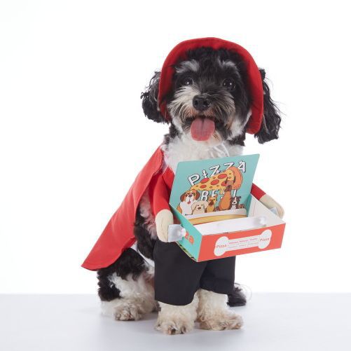 Dog Pizza Delivery Costume – Funny Halloween Outfit for Small and Medium Dogs