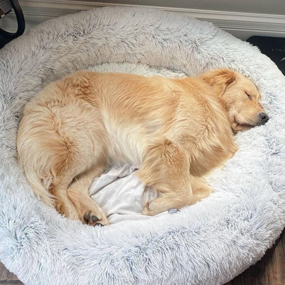 Calming Dog Bed – SnuggleNest Anti - Anxiety Plush Washable Cushion for Pets - mafooouk