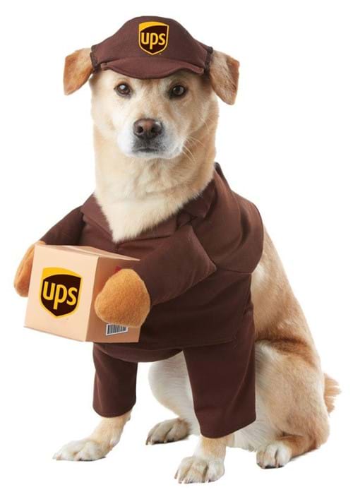 Dog Delivery Costume with Hat – Funny Pet Outfit for Small to Large Dogs