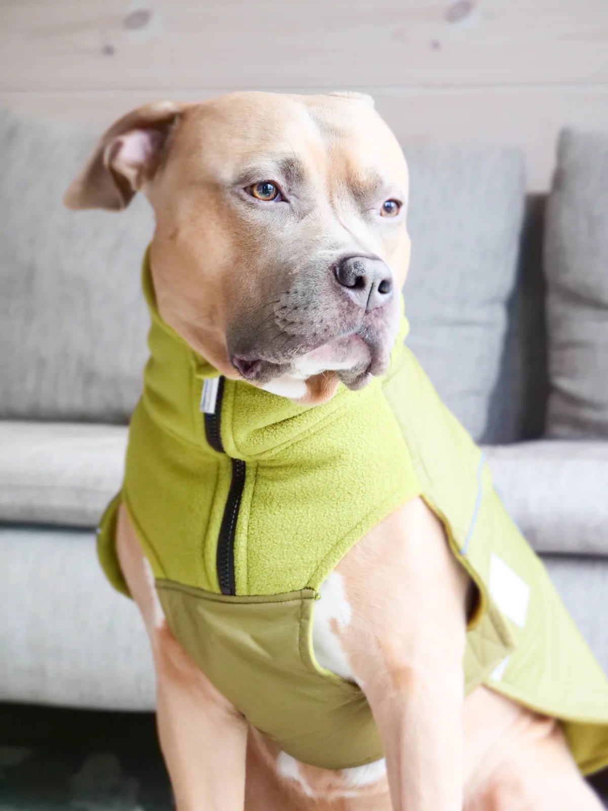 Dog Winter Coat | Shower - Proof, Fleece - Lined & Reflective - mafooouk
