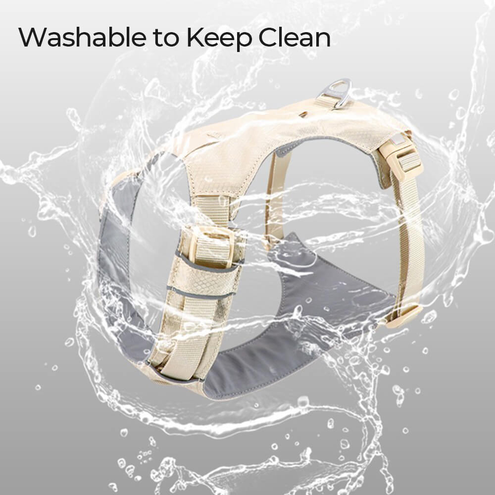 Lightweight Waterproof No-Pull Dog Harness + Leash Set