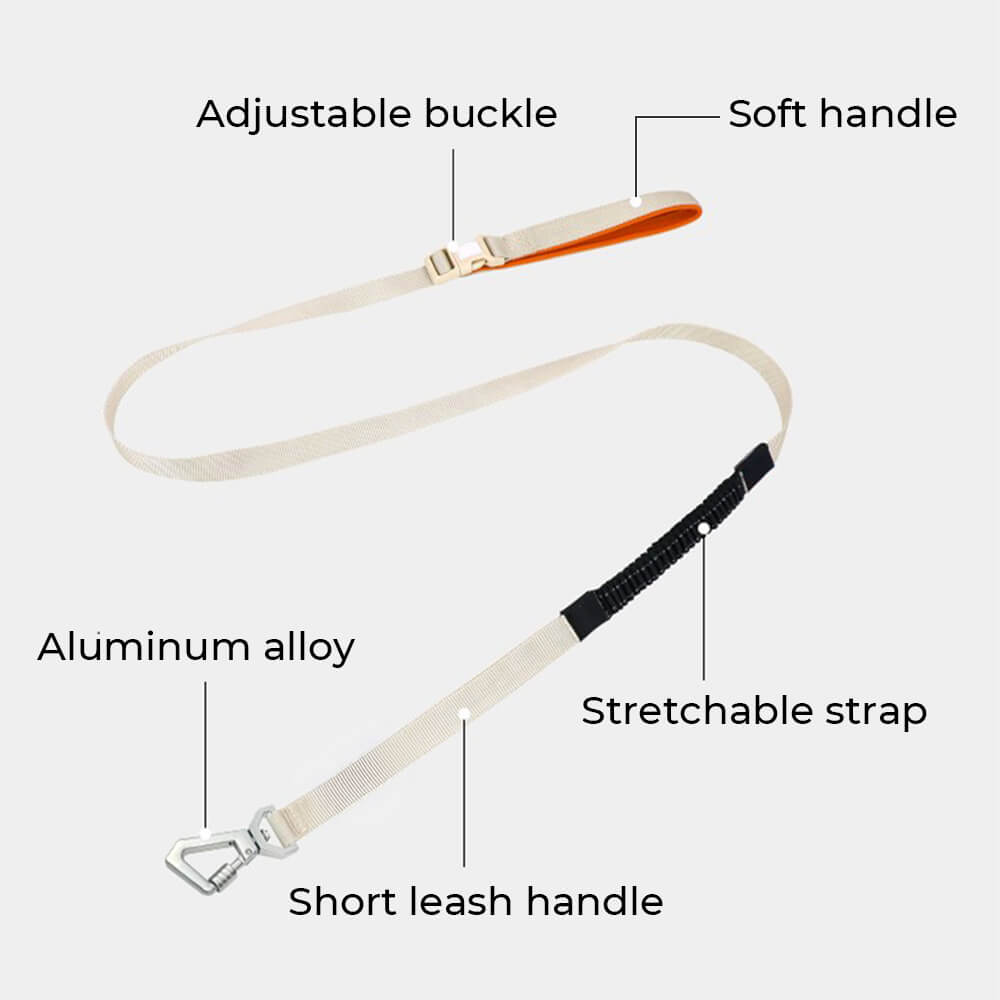 Lightweight Waterproof No-Pull Dog Harness + Leash Set