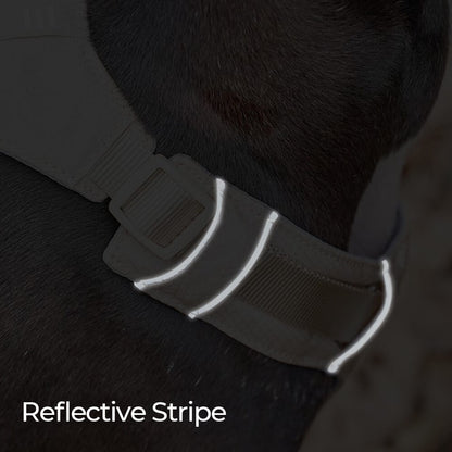 Lightweight Waterproof No-Pull Dog Harness + Leash Set