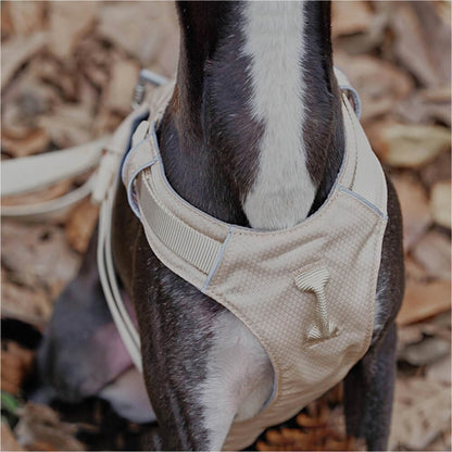 Lightweight Waterproof No-Pull Dog Harness + Leash Set