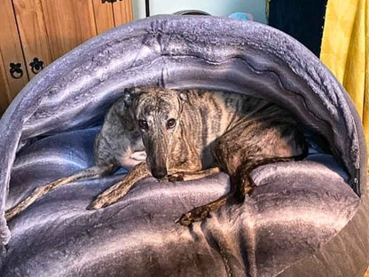 Dog Cave Bed – Grey Luxury Covered Calming Sofa with Removable Hood & Washable Cover