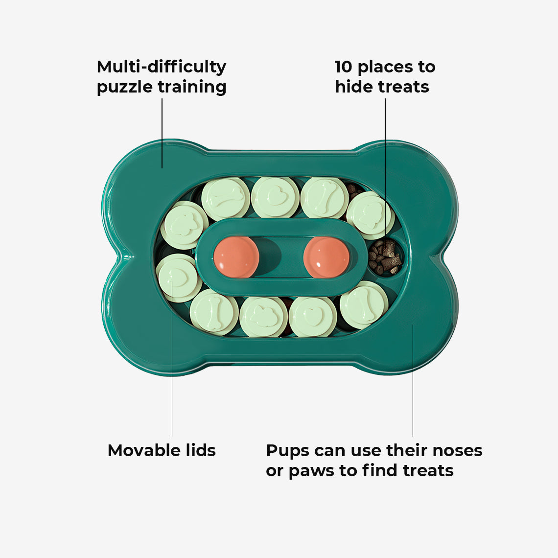 Sliding Foraging Tray – Dog Puzzle Feeder, Slow Eating