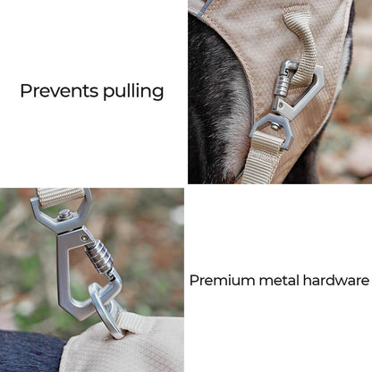 Lightweight Waterproof No - Pull Dog Harness + Leash Set - mafooouk