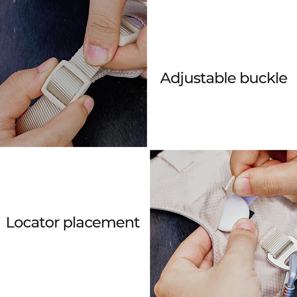 Lightweight Waterproof No - Pull Dog Harness + Leash Set - mafooouk