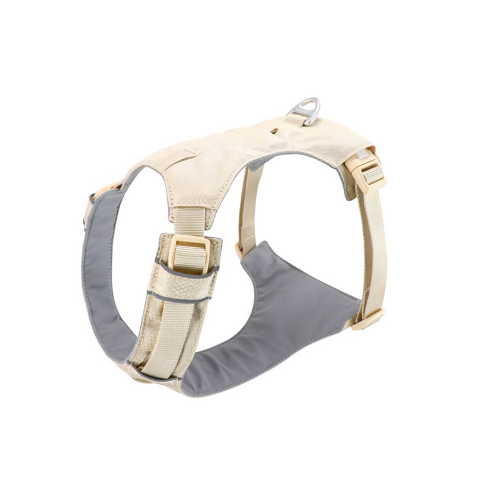 Lightweight Waterproof No - Pull Dog Harness + Leash Set - mafooouk